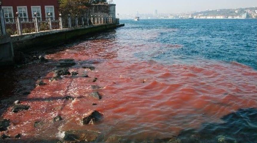 İstanbul Boğazı Yine Kan G&ouml;l&uuml;ne D&ouml;nd&uuml;