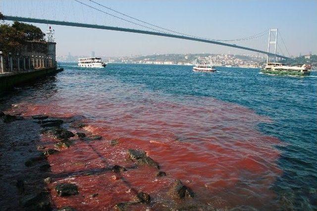 İstanbul Boğazı Yine Kan Gölüne Döndü