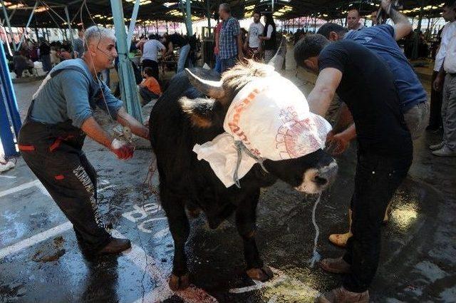 Antalya’da Kurban Manzaraları