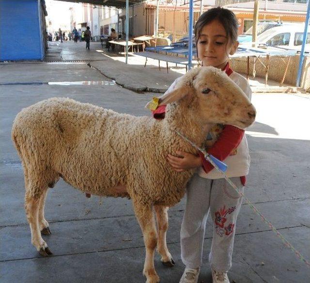 Antalya’da Kurban Manzaraları