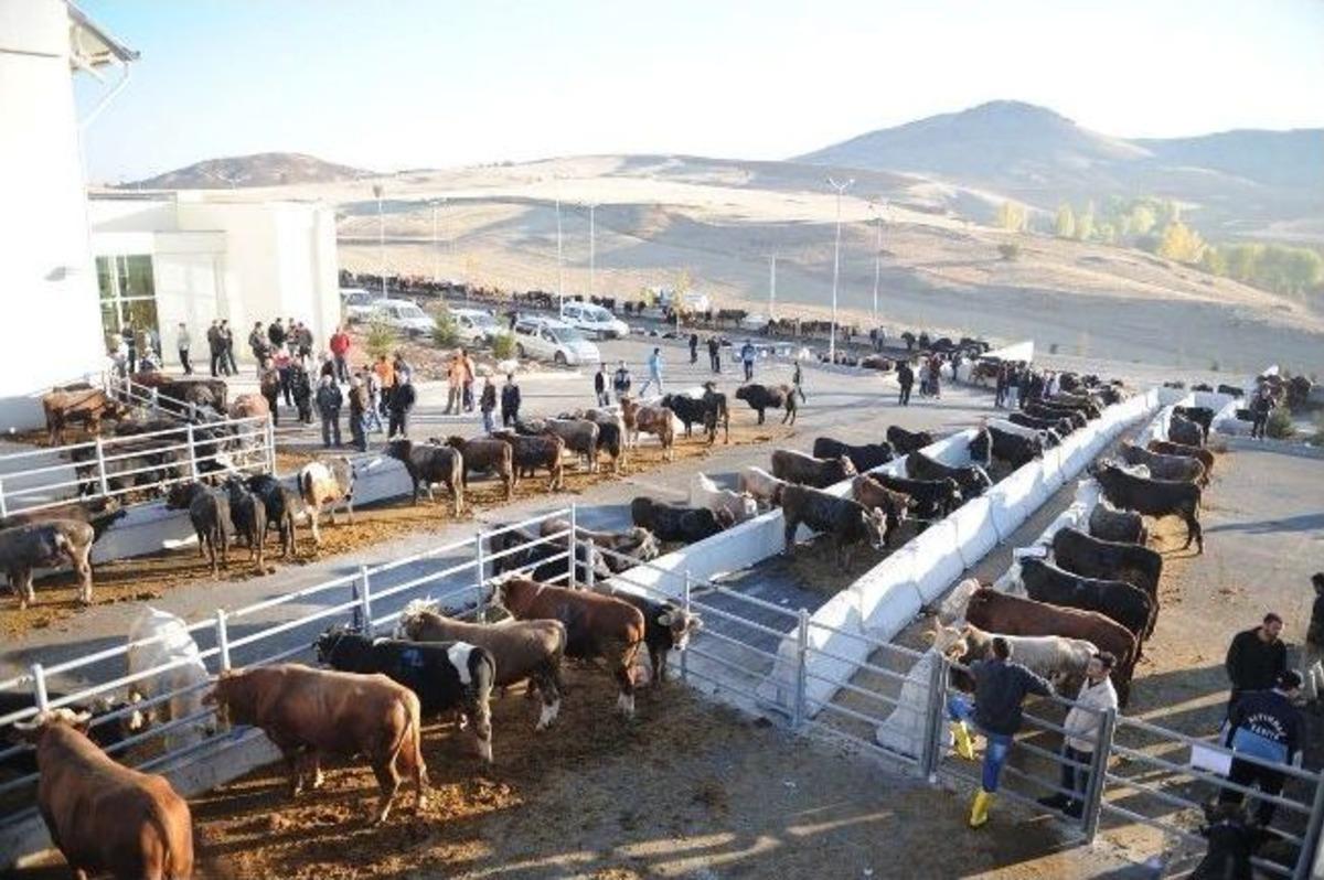 Altındağ Belediyesi Kurban Merkezi&rsquo;ne Yoğun İlgi