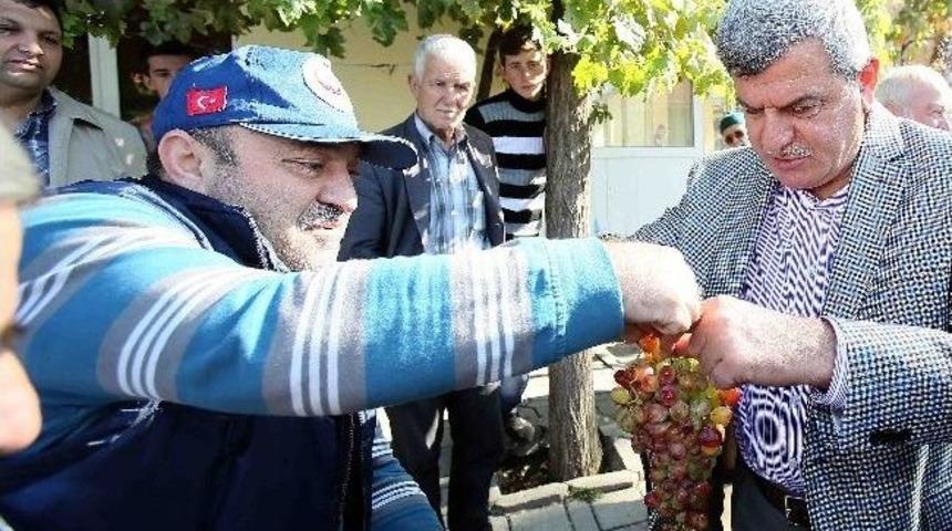 B&uuml;y&uuml;kşehir&rsquo;li Sel&ccedil;uk Ve Fatih D&uuml;nya Şampiyonasında
