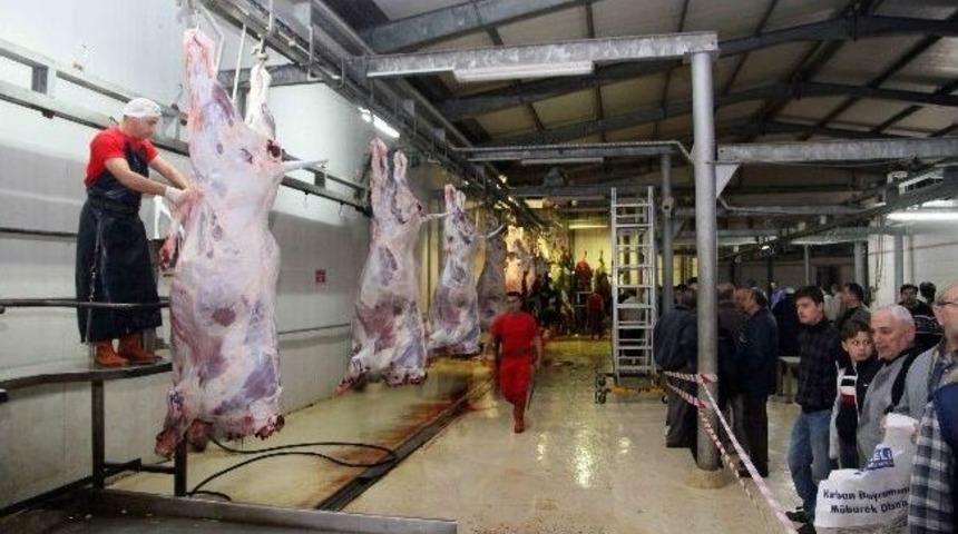 Kocaeli B&uuml;y&uuml;kşehir&rsquo;den Hijyenik Kesim