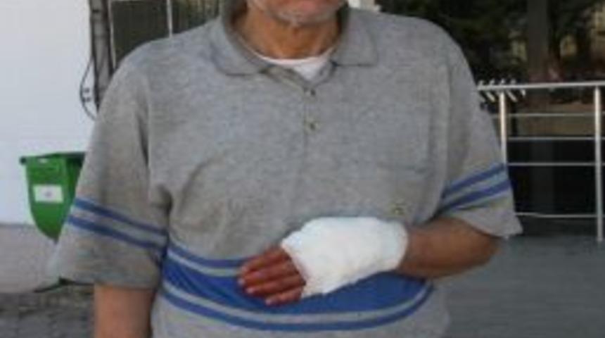 Kilis'te Kurban Kesen 35 Kişi Hastanelik Oldu