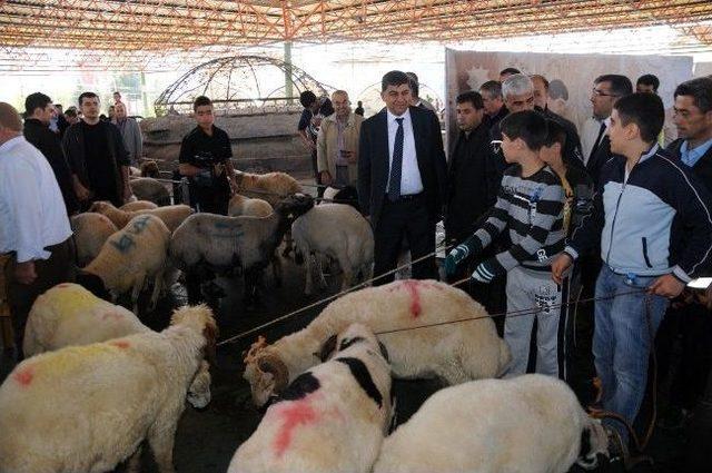 Başkan Fadıloğlu Kurban Kesim Yerlerini Gezdi 1