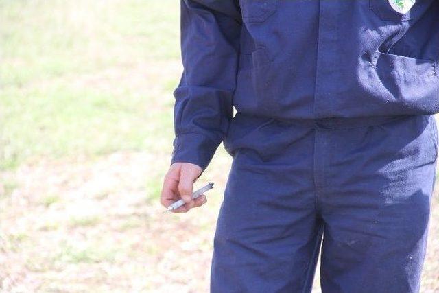 Ka&ccedil;an Boğa Bayıltılarak Yakalandı 3