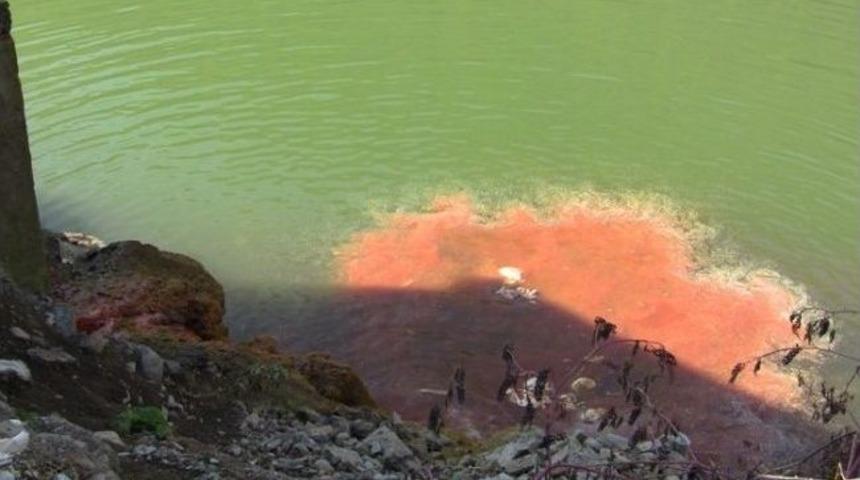 Artvin&rsquo;de Baraj Kan G&ouml;l&uuml;ne D&ouml;nd&uuml;