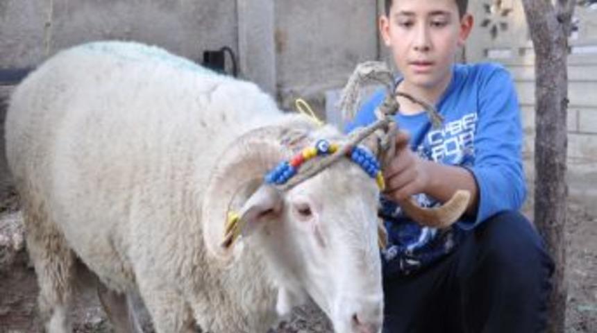 Yaralanan 57 Acemi Kasaptan 4'&uuml; Bayan