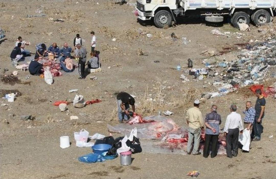 (&ouml;zel Haber) Ka&ccedil;ak Kesim Cezaları Vatandaşları Caydırmadı