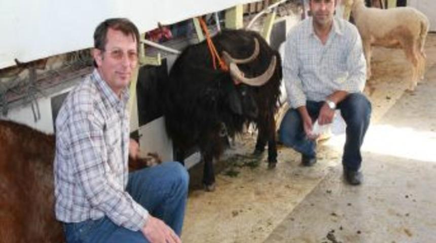 Odunpazarı'nda 9 Ayrı Noktada &Uuml;cretsiz Kurban Kesim Hizmeti Veriliyor