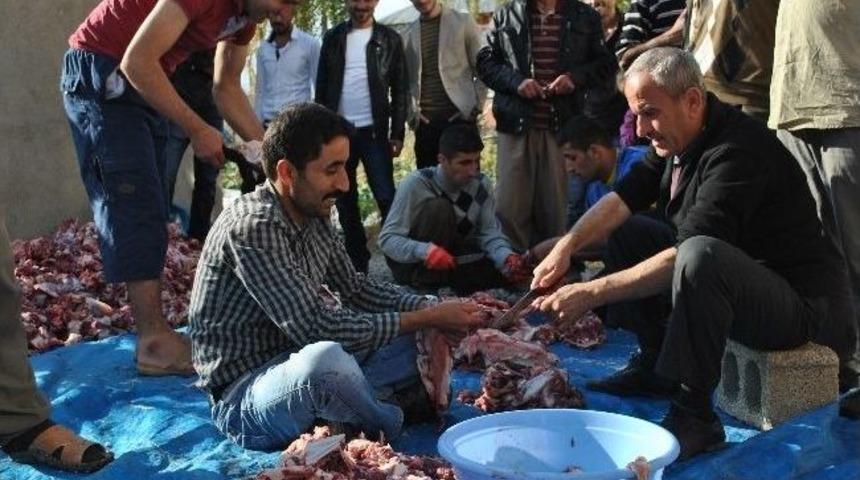 Y&uuml;ksekova&rsquo;da Toplu Kurban Kesimi