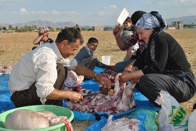 Y&uuml;ksekova&rsquo;da Toplu Kurban Kesimi 1