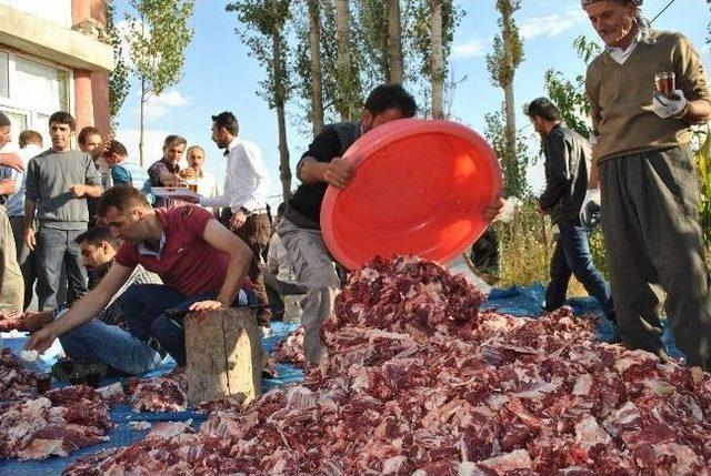 Y&uuml;ksekova&rsquo;da Toplu Kurban Kesimi 2