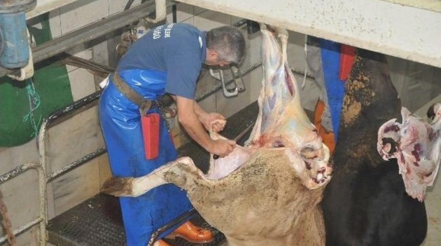 D&uuml;zce&rsquo;de Kurbanlıklar Et Kombinesinde Kesildi