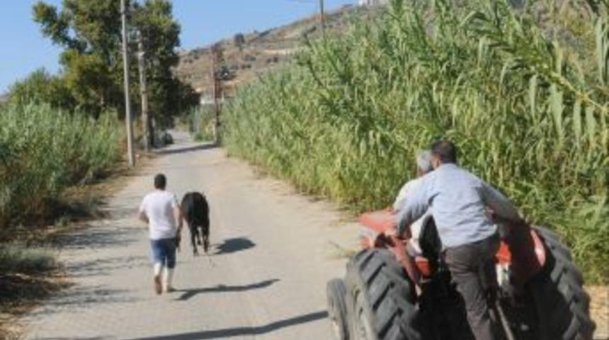 Ka&ccedil;an Danaya Trakt&ouml;rlerle Operasyon