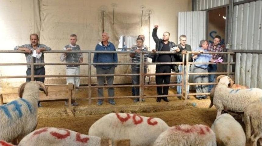 Kurban Satışları Bayramın İlk G&uuml;n&uuml;nde De Devam Etti