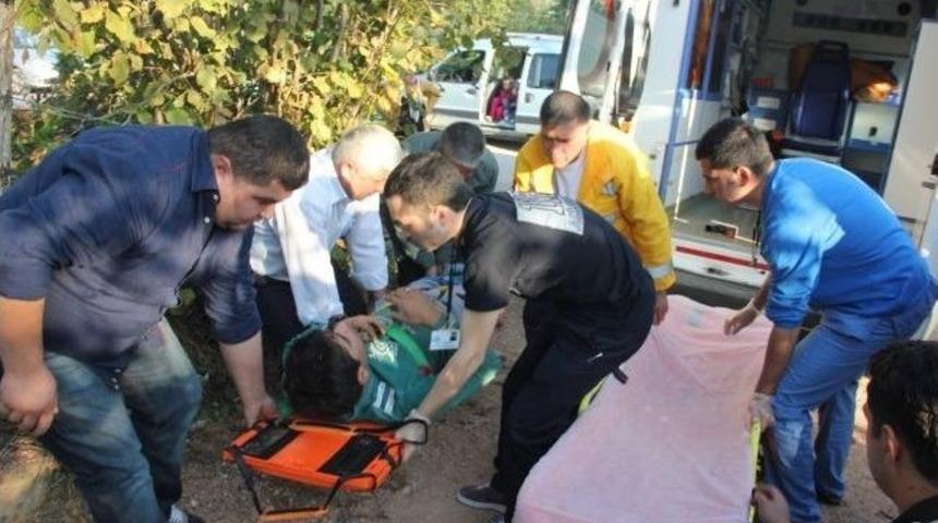 Ordu'da Trafik Kazası: 2 Yaralı