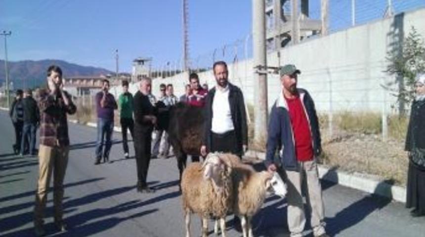 İbda-c Lideri Salih İzzet Erdiş İ&ccedil;in Kurban Kestiler