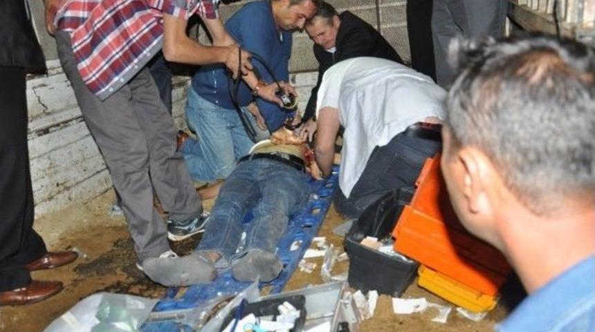 Balıkesir'de ambulans ile otomobil &ccedil;arpıştı: 1 &ouml;l&uuml;, 3 yaralı