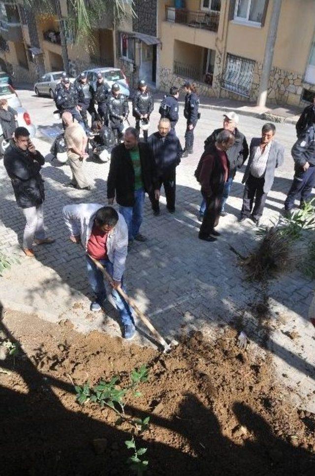 (özel Haber) Baz İstasyonu Kurmaya Geldiler, Fidan Dikip Gittiler