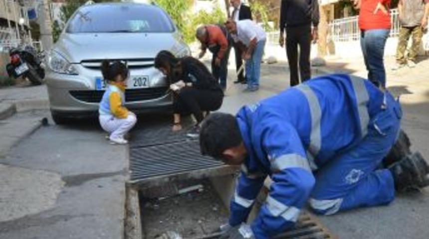 Kanalizasyona Sıkışan Kedi Operasyonla Kurtarıldı