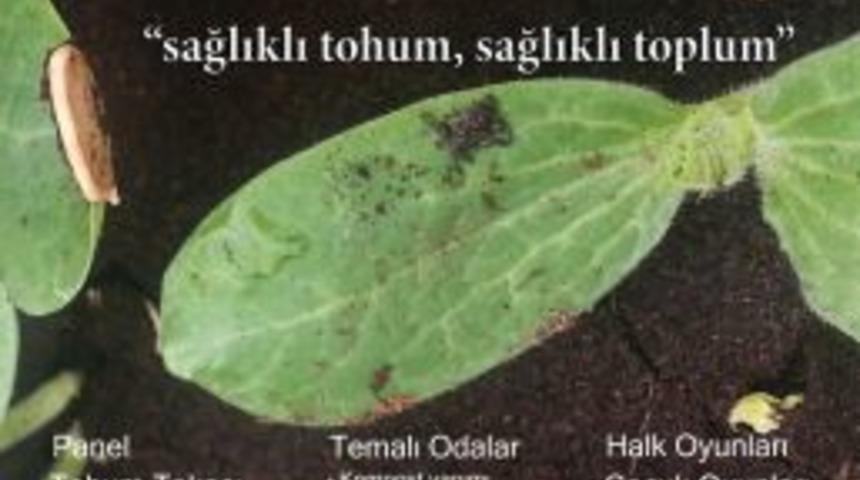&Ccedil;ankaya'da 'Tohum Takas Şenliği&rsquo; Yapılacak