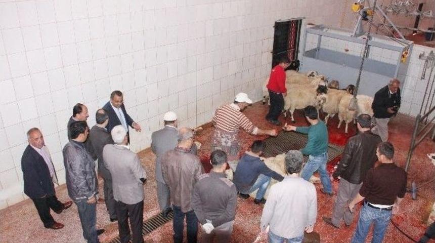 T&uuml;rkiye Diyanet Vakfı Ahlat&rsquo;ta Kurban Kesti