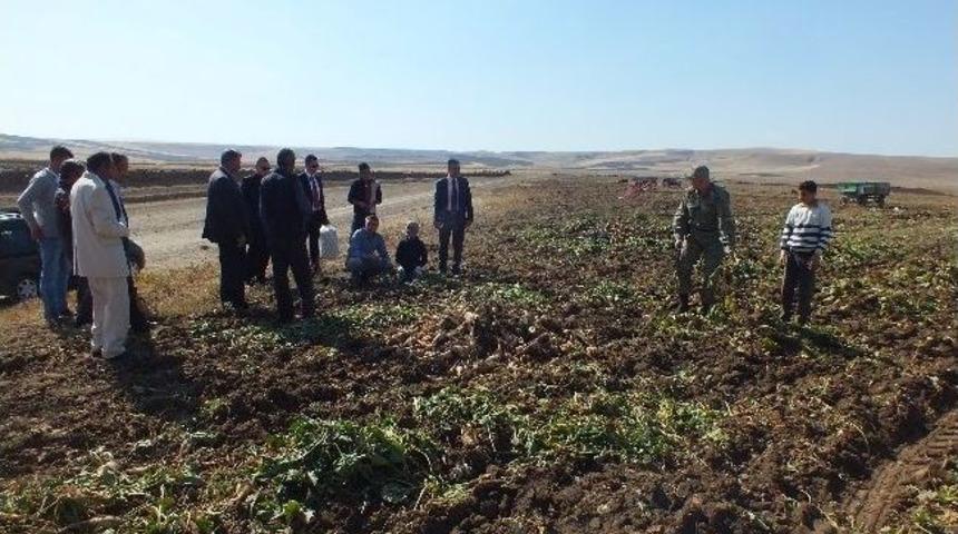 Kaymakam Tarlada &Ccedil;alışan &Ccedil;ift&ccedil;ilerle Bayramlaştı