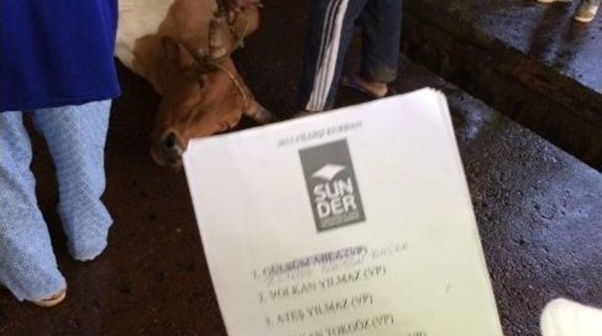 Fildişi Sahillerinde Sunder R&uuml;zg&acirc;rı Esiyor