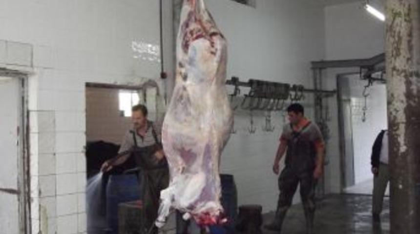 Kurbanlıklar &Uuml;cretsiz Kesildi