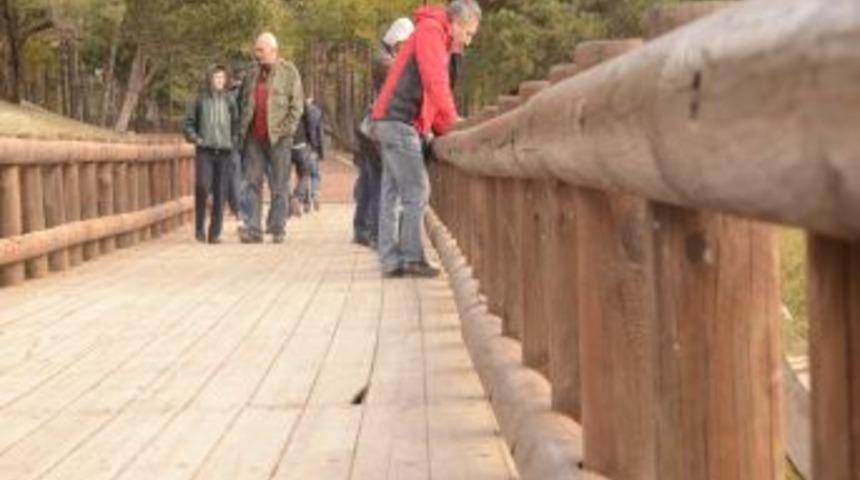 Abant Tabiat Parkı'nda Bayram Yoğunluğu