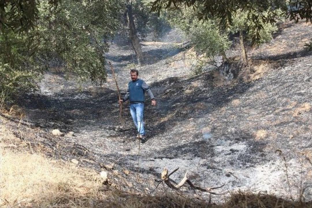 Arazi Yangını Bayramı Zehir Etti
