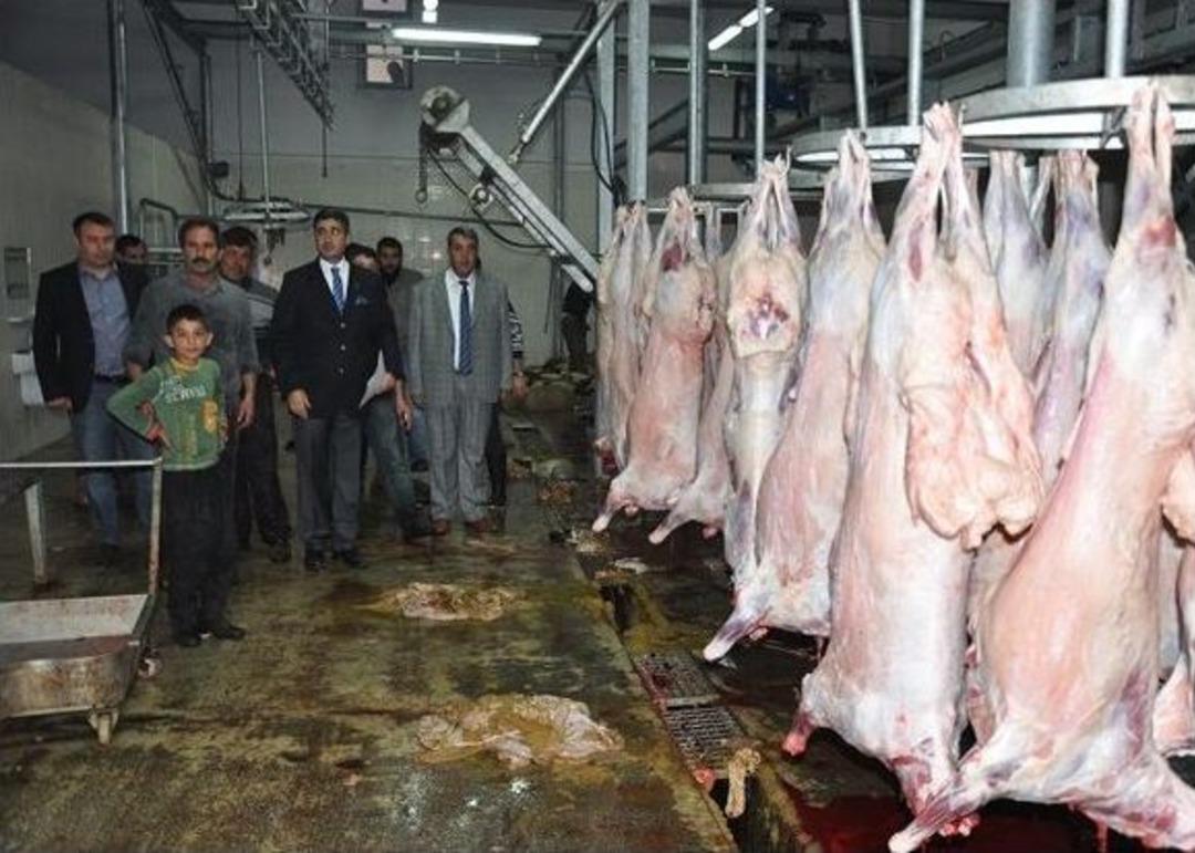 Adilcevaz Kaymakamlığı&rsquo;ndan 650 Aileye Kurban Eti