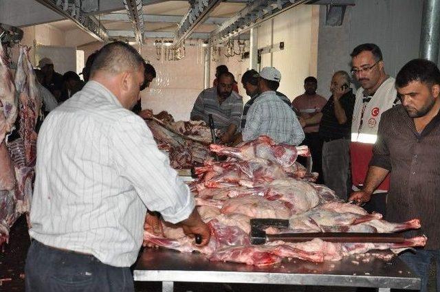 Diyanet Organizasyonunda Kesilen 500 Kurbanın Eti Suriyeliler İle Yoksullara Dağıtıldı 1
