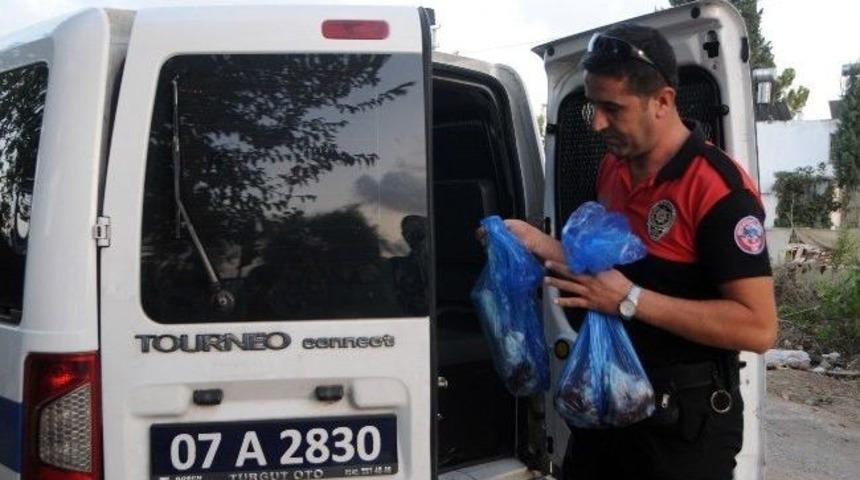 Operasyon Yapmadılar, Kurban Eti Dağıttılar