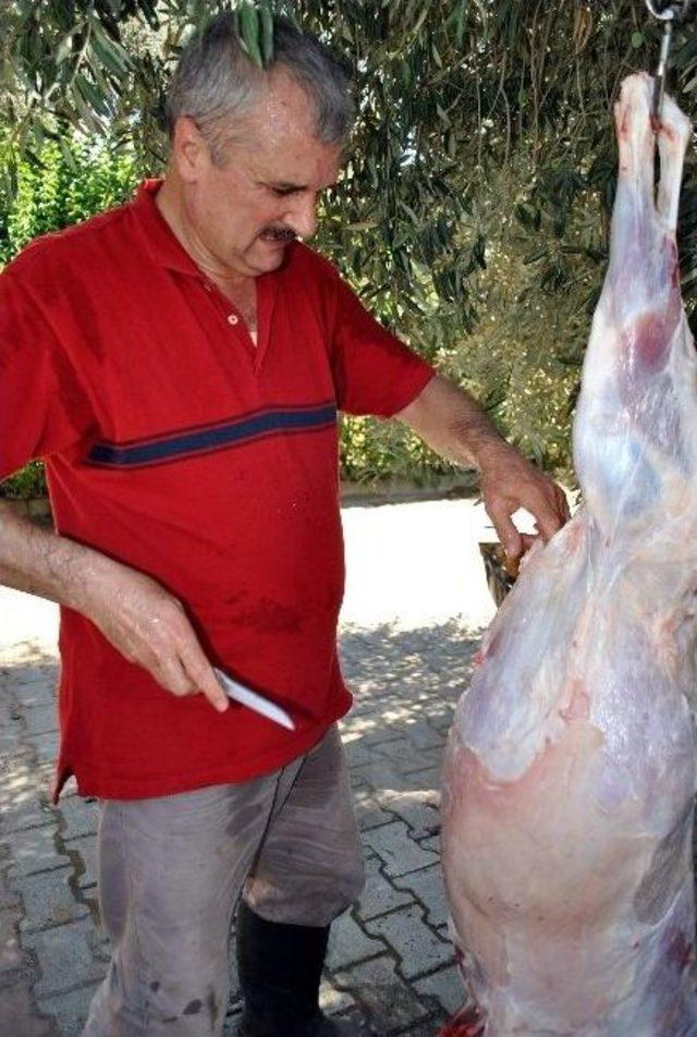 Aydın&rsquo;ın Acemi Kasapları Ustalaştı 1