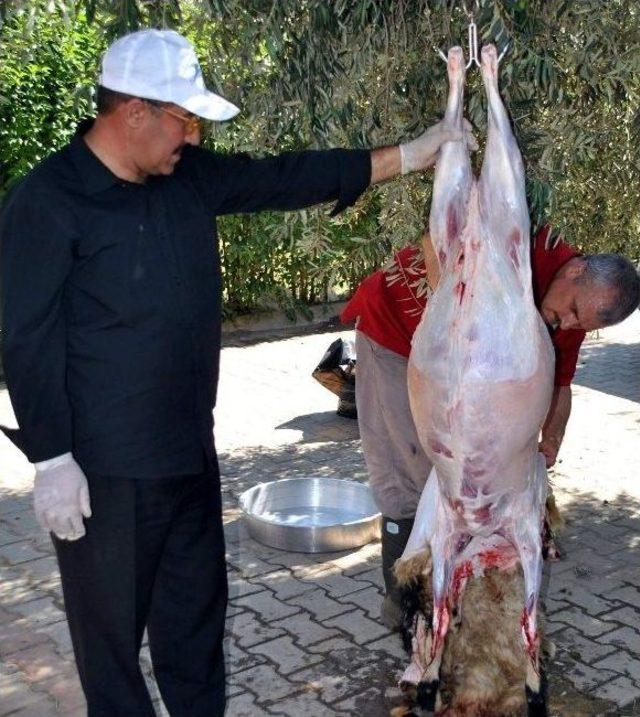 Aydın&rsquo;ın Acemi Kasapları Ustalaştı 2