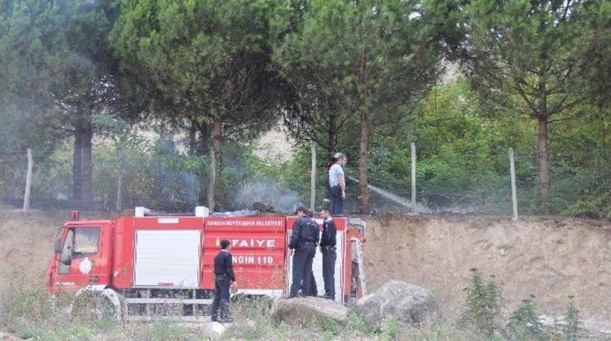 Yangın &Ccedil;am Ağa&ccedil;larına Sı&ccedil;ramadan S&ouml;nd&uuml;r&uuml;ld&uuml;