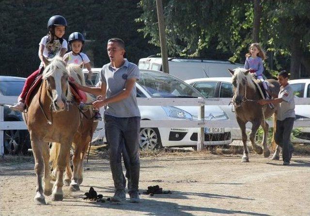 (özel Haber) At Üzerinde Stres Terapisi