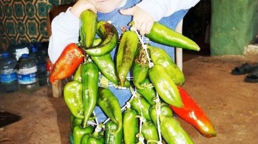 Sarıg&ouml;l&rsquo;de Evlerde Kışlık Yiyecek Sergisi Başladı