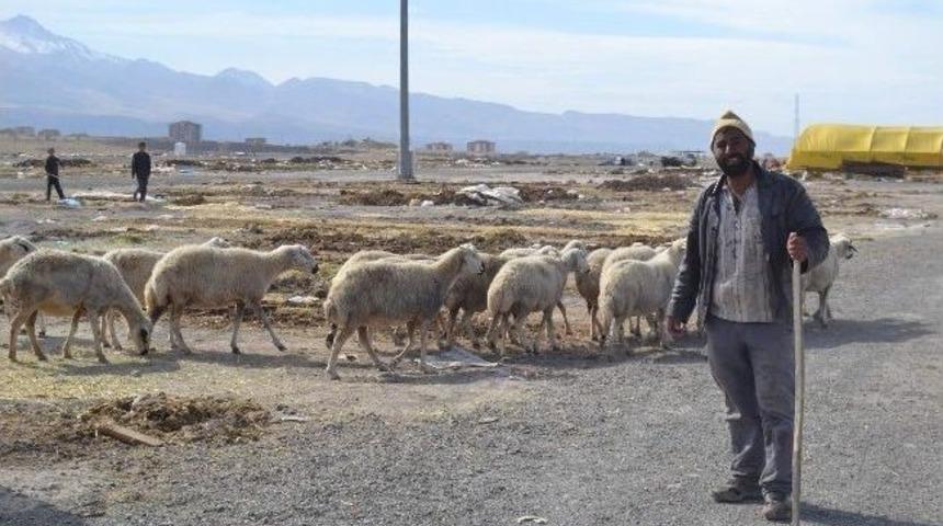 Kurban Pazarında Yoğunluk Bitti