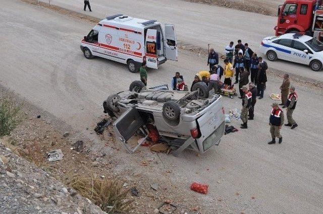 Arıcan Bebeğin Talihsiz Günü