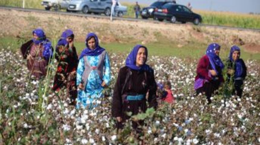 D&ouml;rt G&uuml;nd&uuml;r Haber Alınamıyor