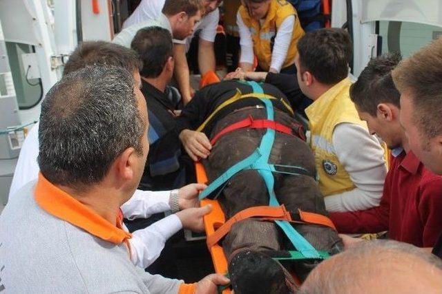 Ordu&rsquo;da Kamyonet Dereye Yuvarlandı: 1 Yaralı 1