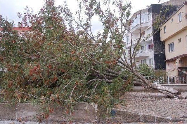 Çanakkale'de Fırtına Ve Sağanak Yağmur