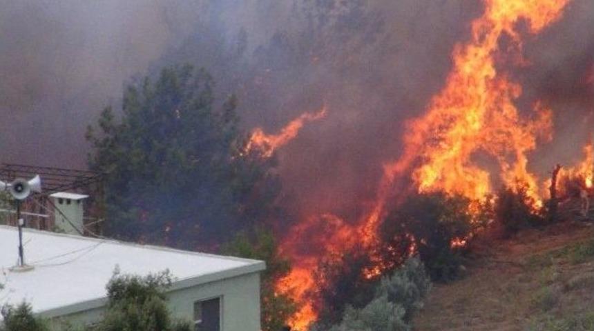 Elektrik Telinden Çıkan Kıvılcım 10 Hektarlık Ormanı Kül Etti