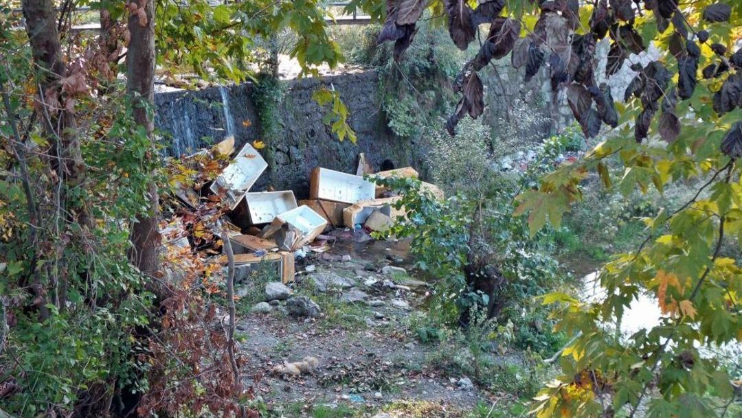 Sapanca G&ouml;l&uuml;&rsquo;n&uuml; Besleyen Dereyi Buzdolabı &Ccedil;&ouml;pl&uuml;ğ&uuml; Yaptılar