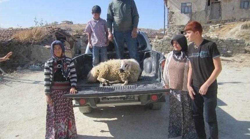 Uğurludağ Kaymakamlığından İhtiyaç Sahibi Ailelere Yardım