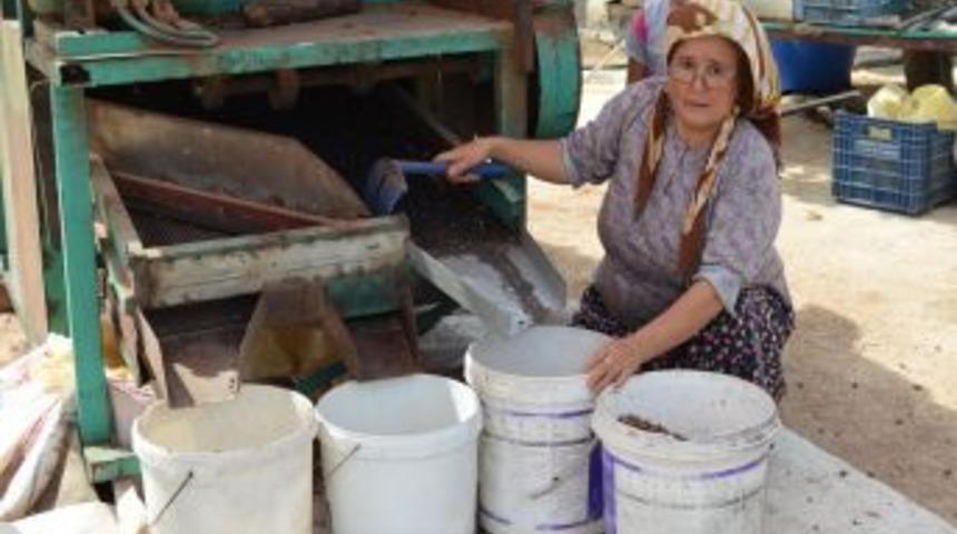 Harnup Makinesi Icat Etti, T&uuml;m K&ouml;yl&uuml;ye Derman Oldu