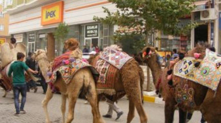 Karacadağ K&uuml;lt&uuml;r Ve Sanat Festivali Başladı